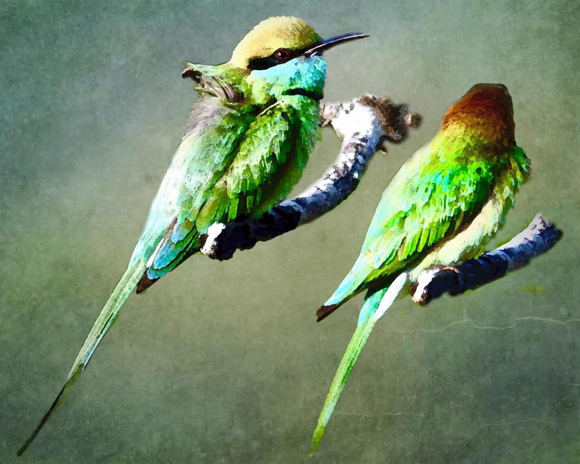 Creative Nature (Fauna) - Image 7