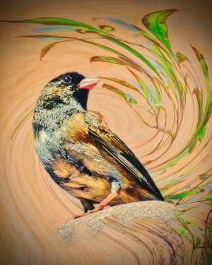 Creative Nature (Fauna)