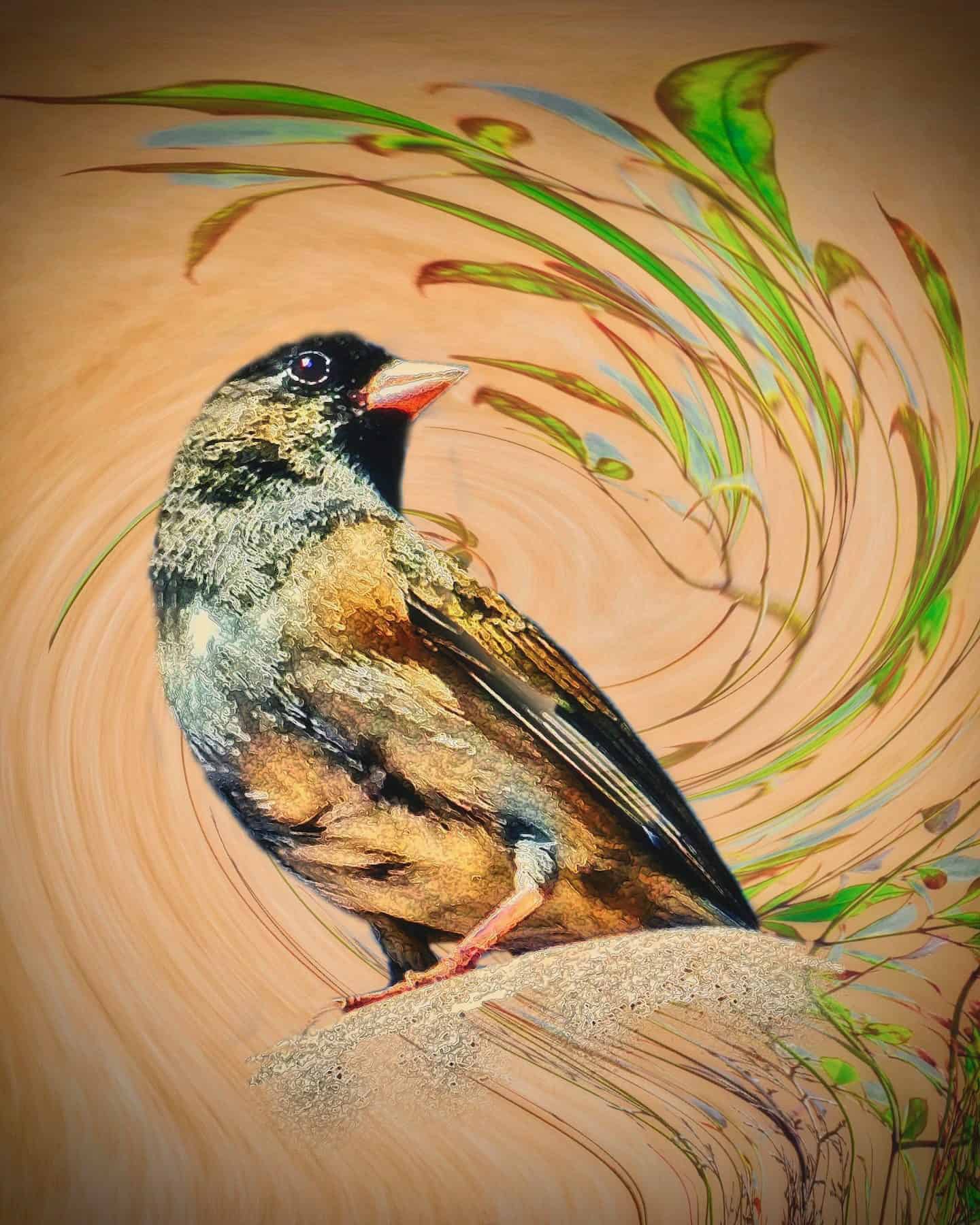 Creative Nature (Fauna)