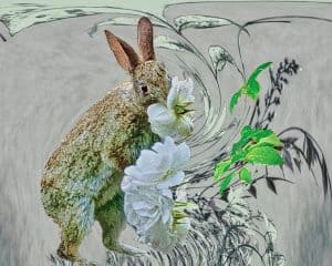 Flora and Fauna