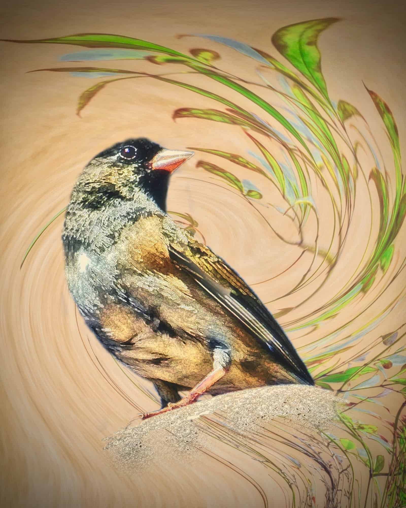 Creative Nature (Fauna) - Image 2