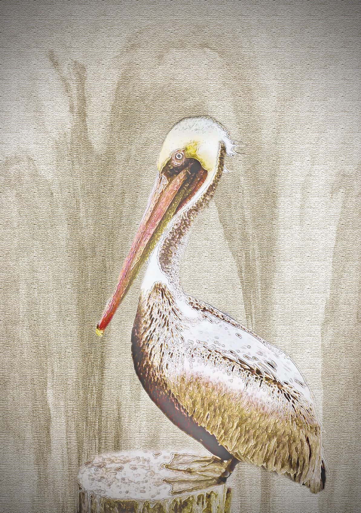 Creative Nature (Fauna) - Image 4