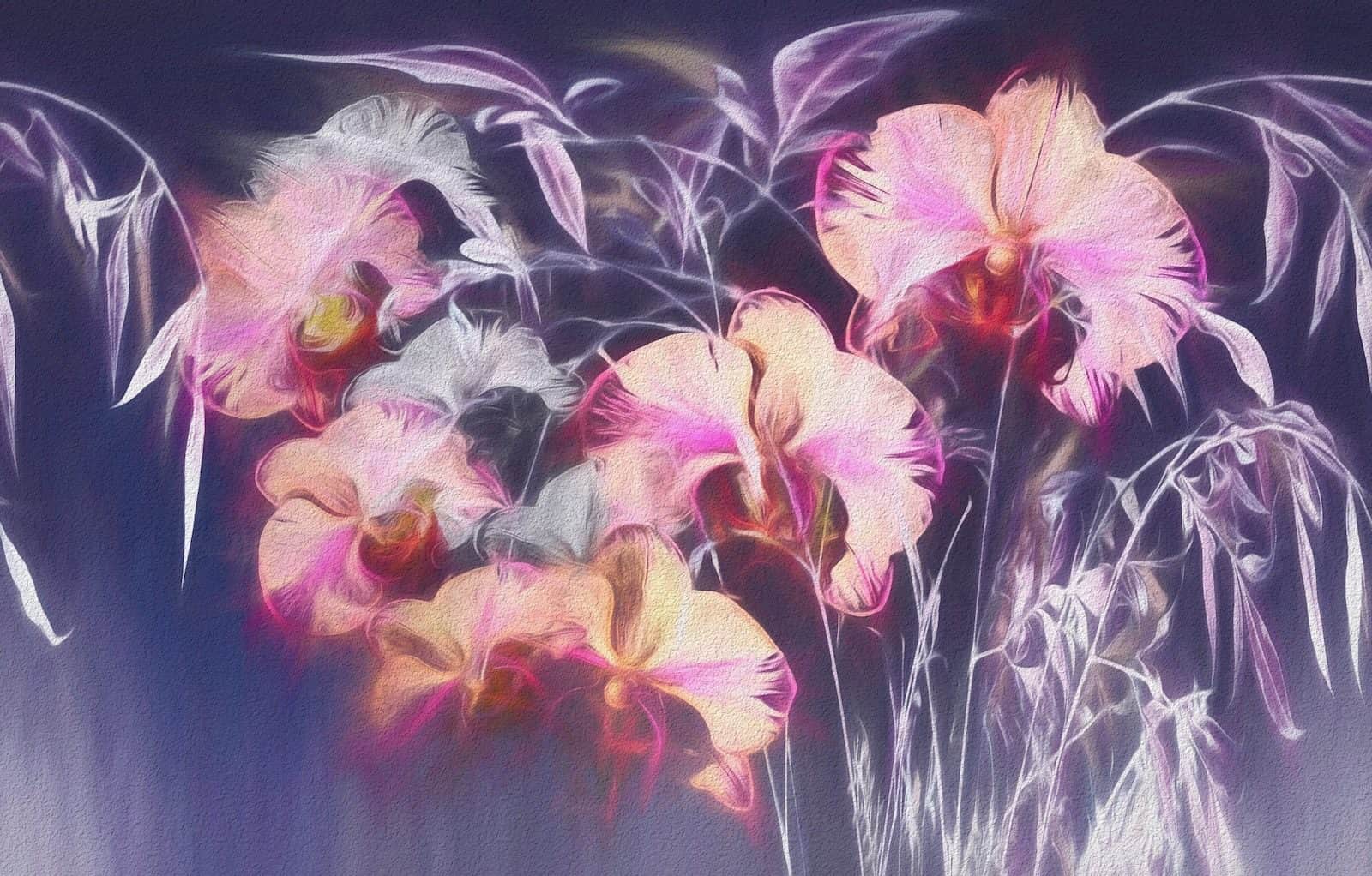 Melange: Orchids composite