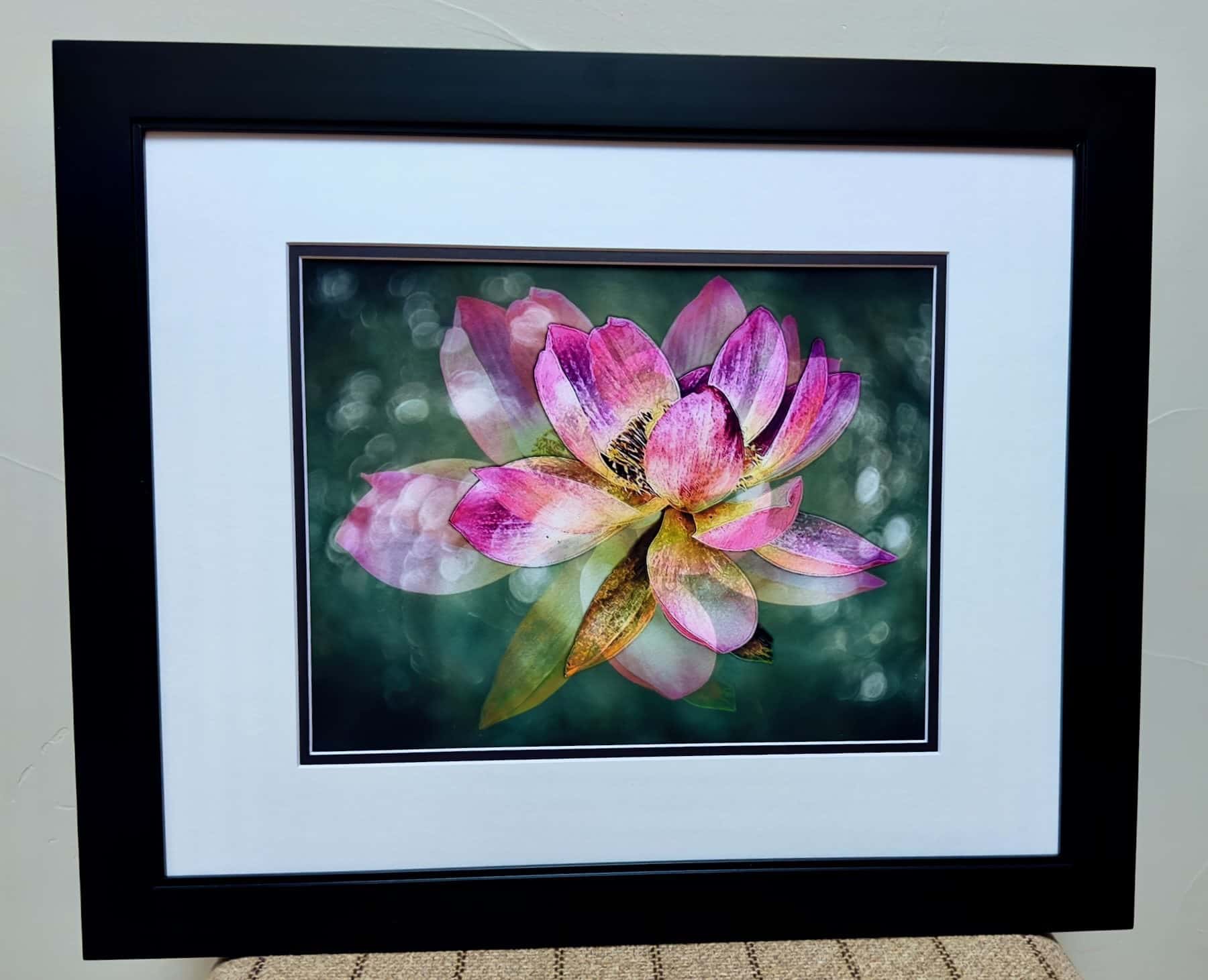 Lotus Melange - Image 2