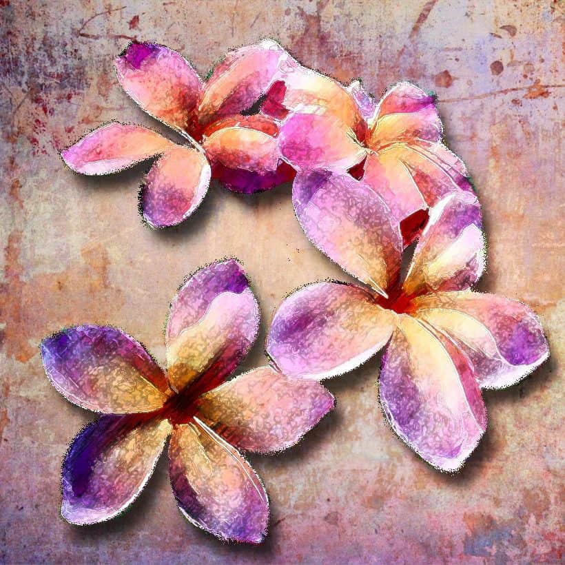 Plumerias (SOLD)