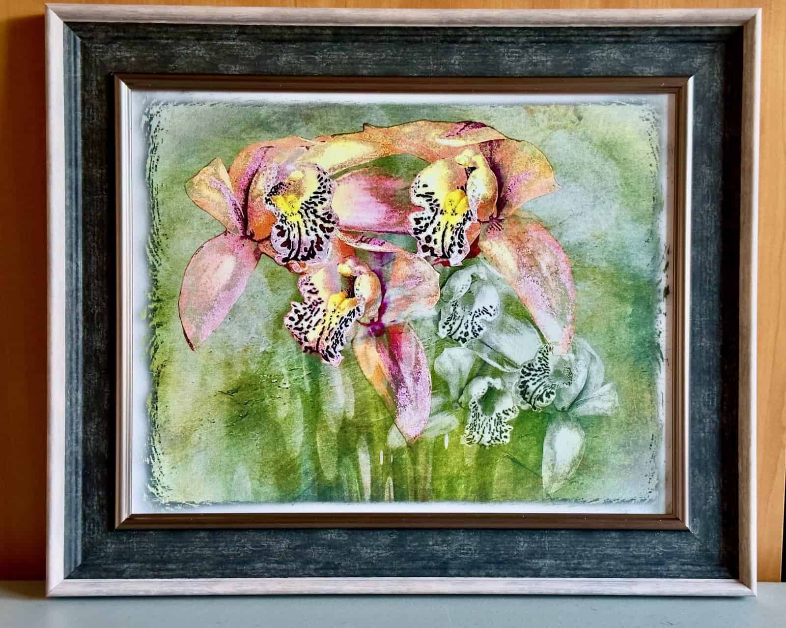 Orchid Family - Image 2