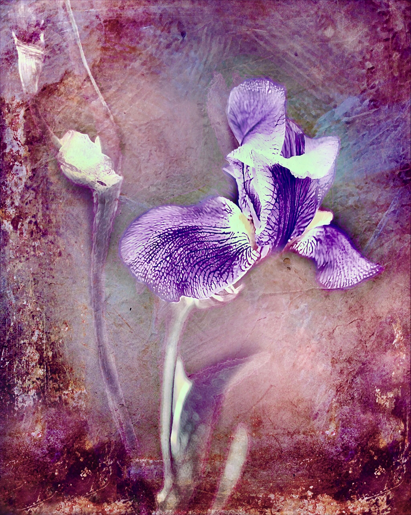 Ice and Indigo