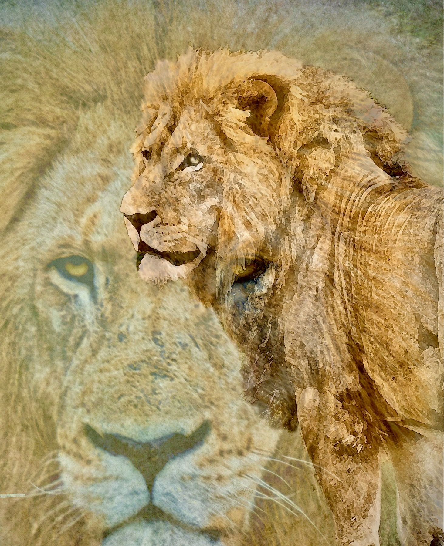 King