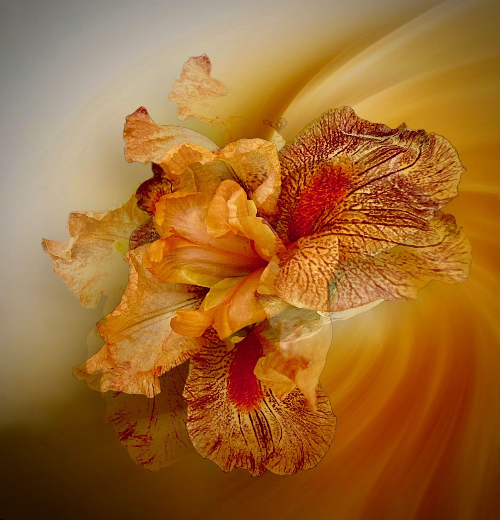 Poetry in Bloom - Image 2