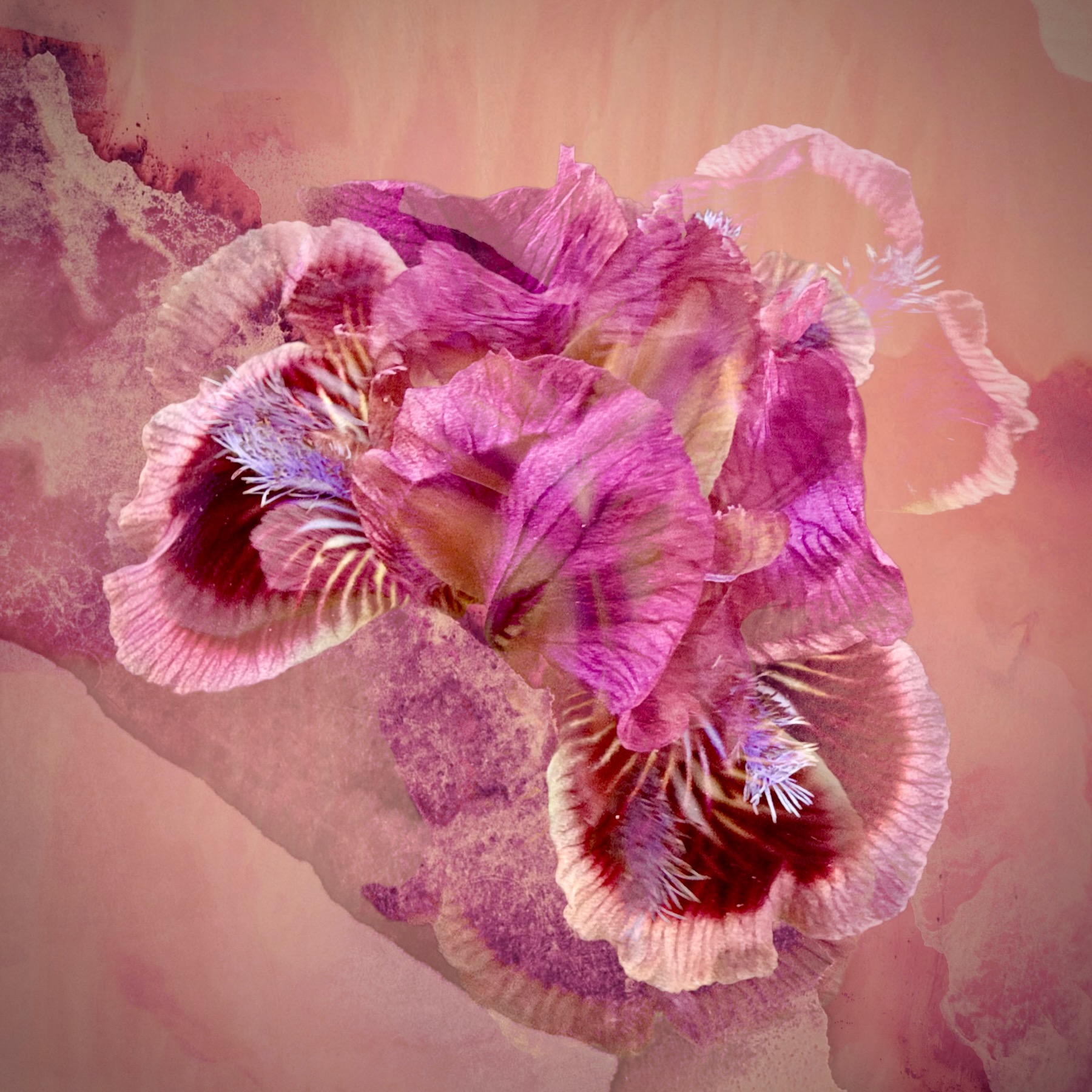 Poetry in Bloom - Image 3