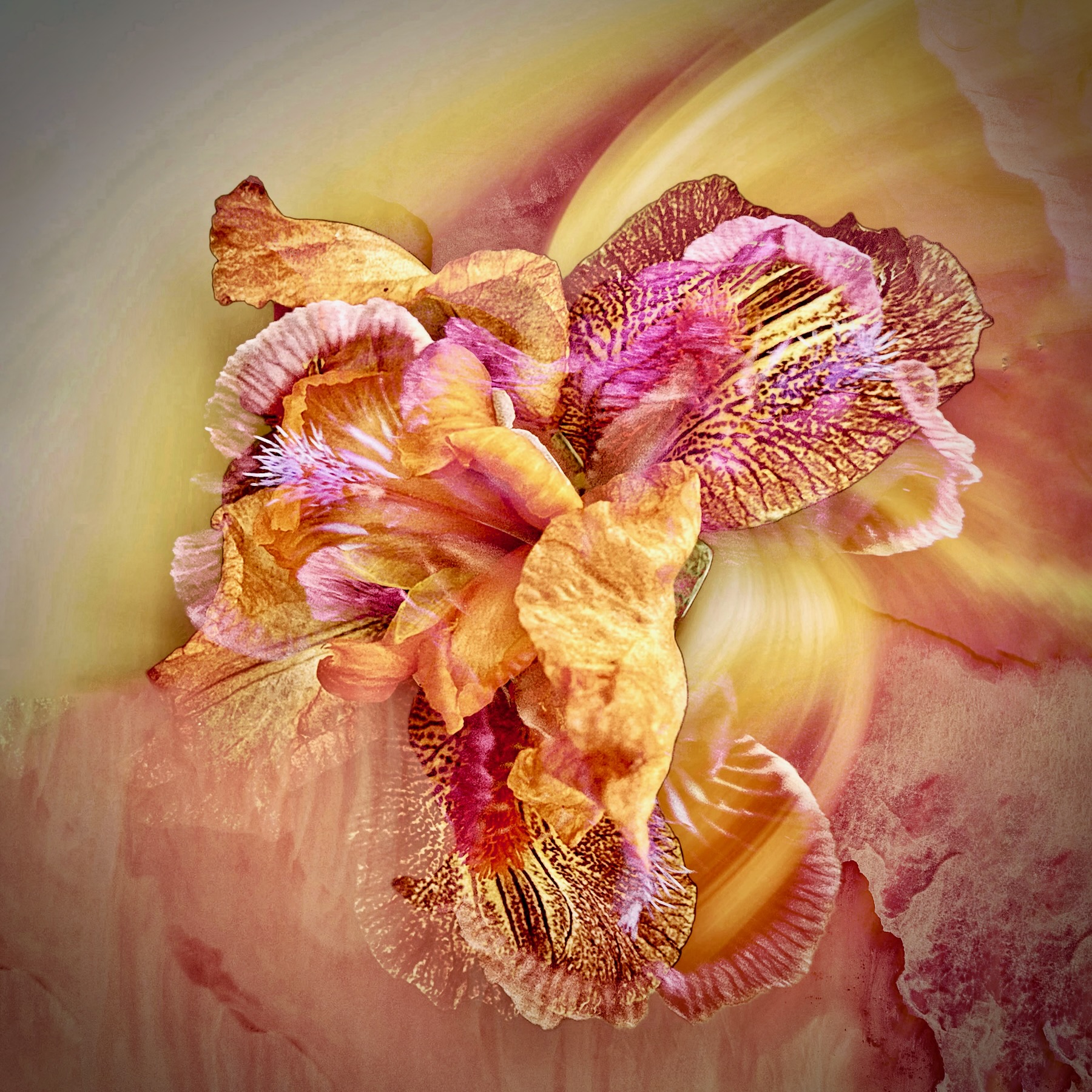 Poetry in Bloom