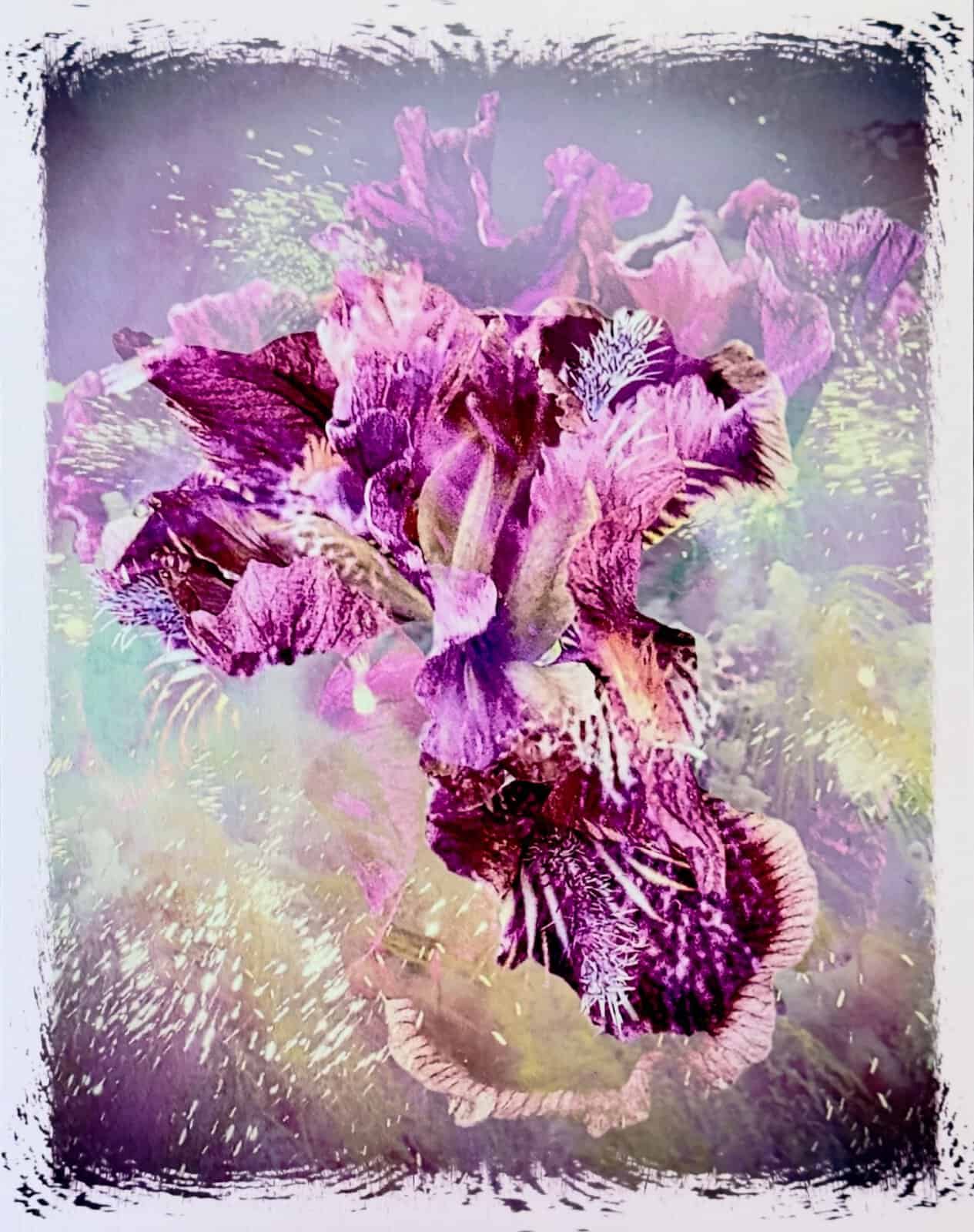 Amethyst Drama - Image 2