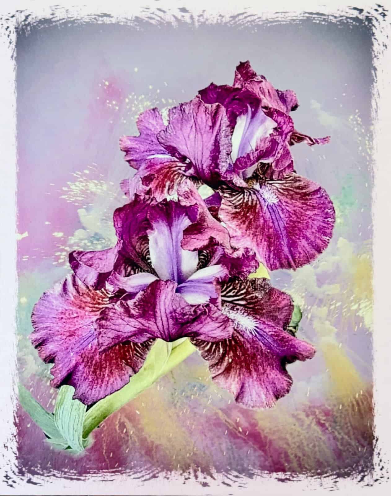 Amethyst Hues - Image 2