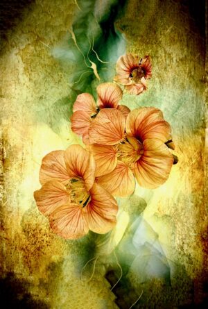 Blossoming Beauty