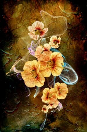 Floral Frolic