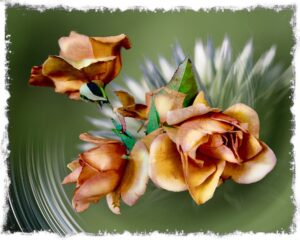 Resplendent Roses 1 or 2