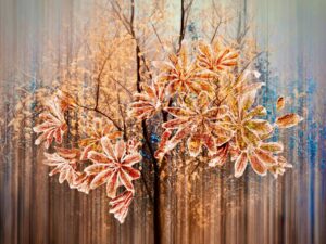 Woodland Blooms