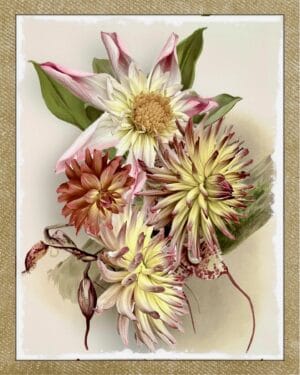 Petal Potpourri
