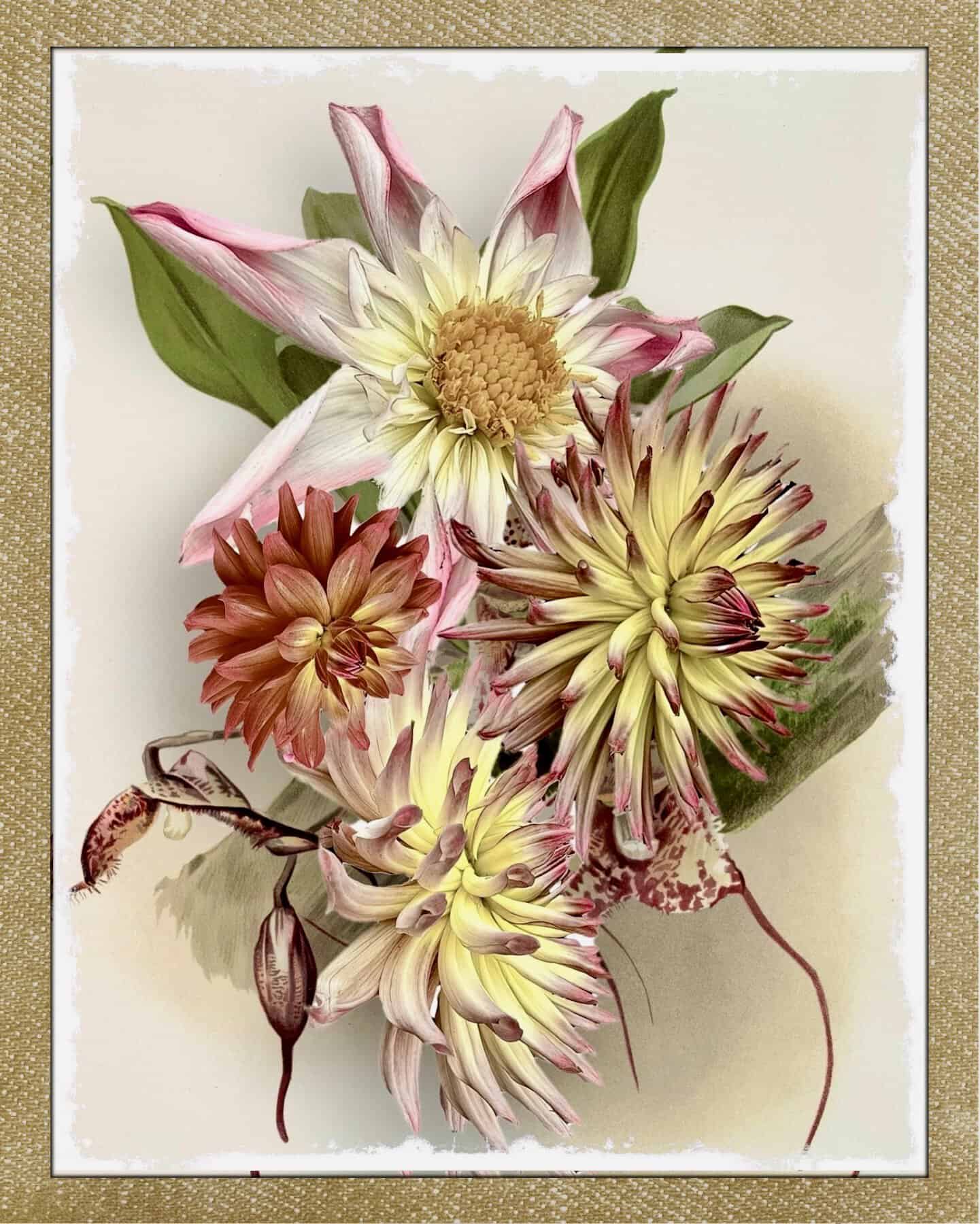 Petal Potpourri