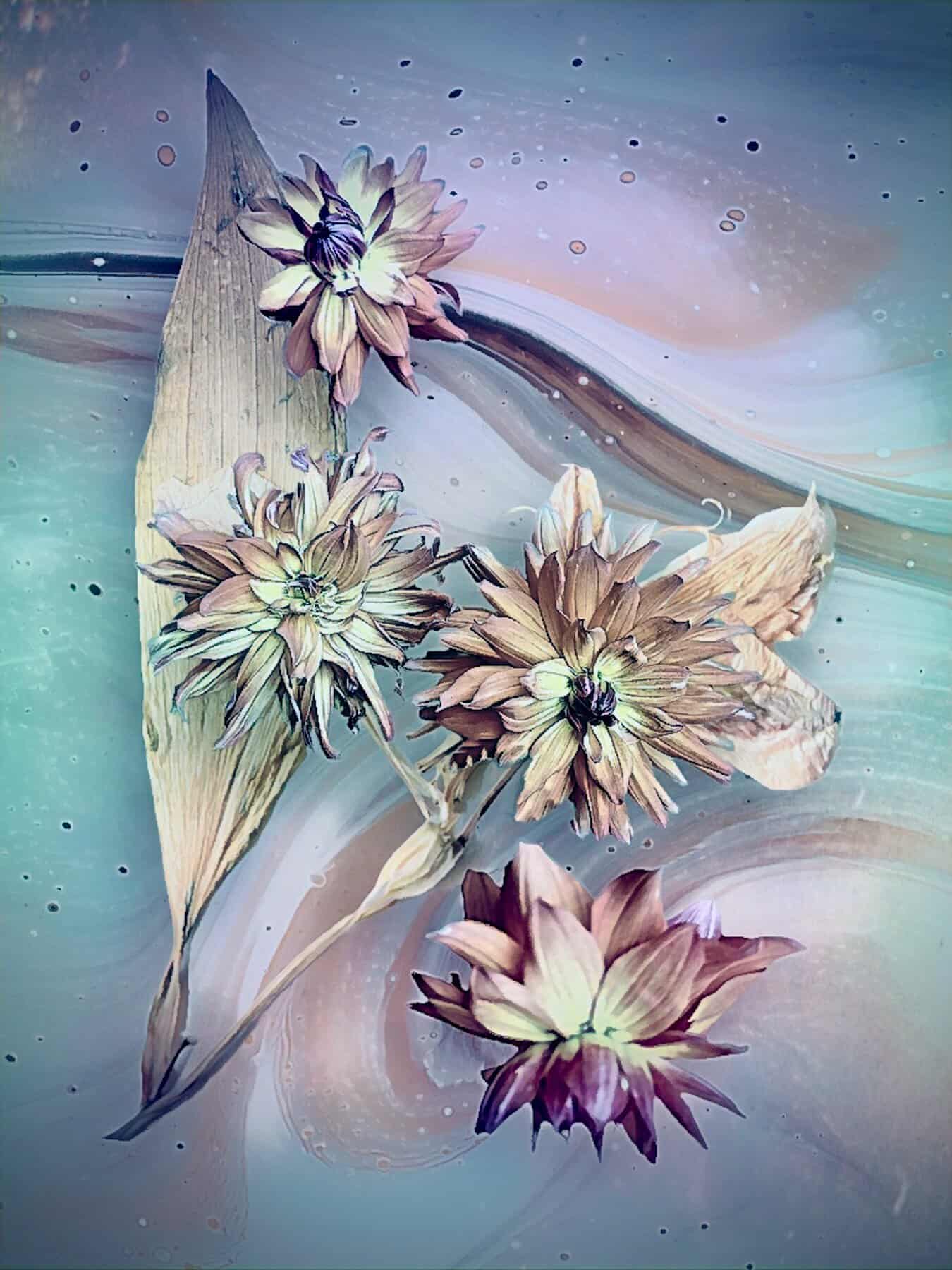 Floral Creations (Different Images) - Image 7