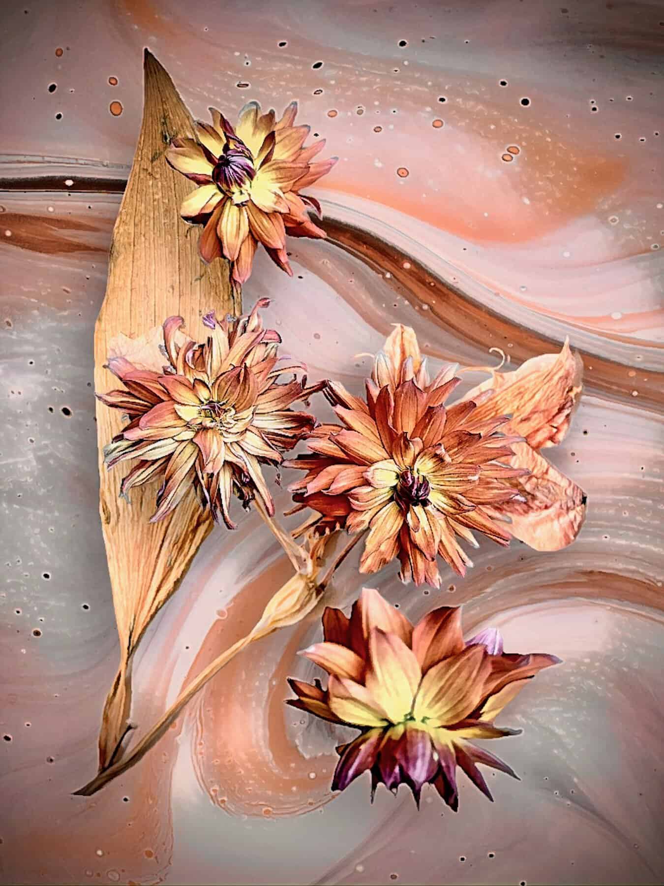 Floral Creations (Different Images) - Image 5
