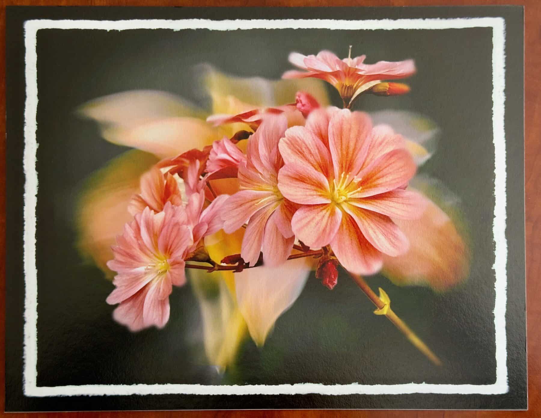 Floral Creations (Different Images) - Image 10