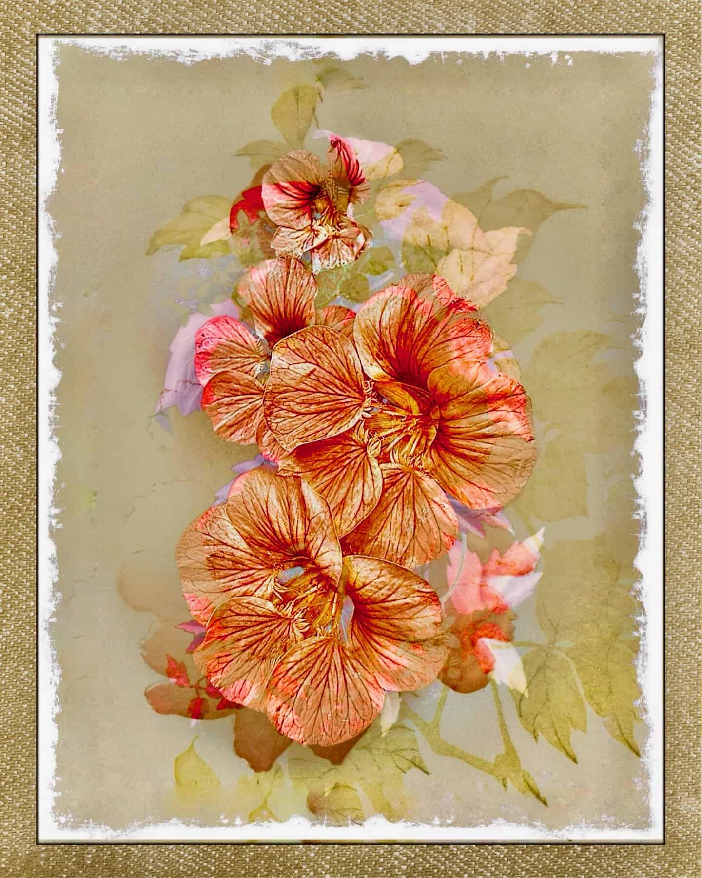Floral Creations (Different Images) - Image 4