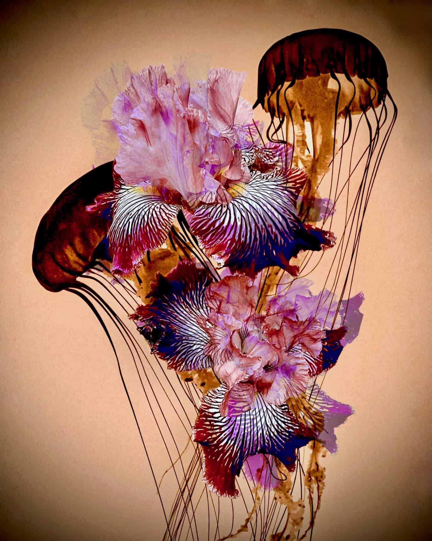 Floral Creations (Different Images) - Image 13