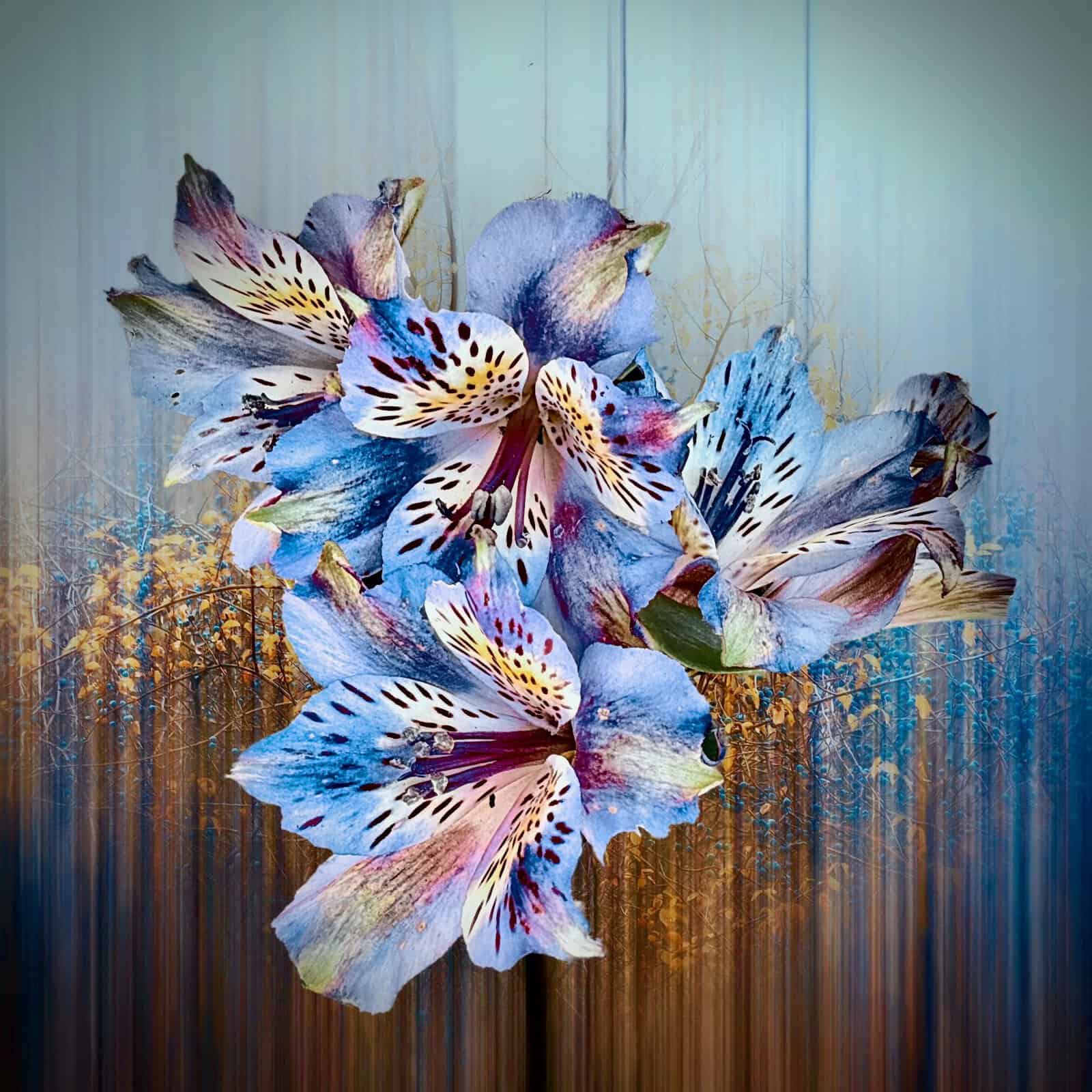 Painted By Nature (3 different images) - Image 3