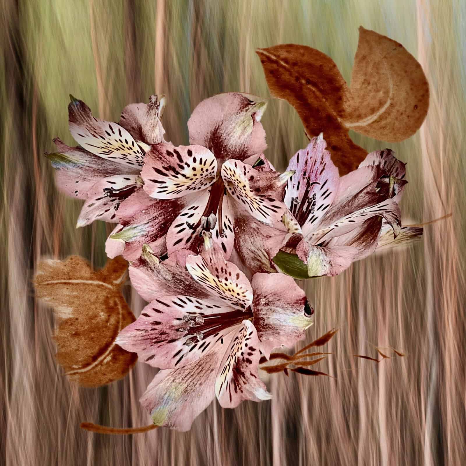 Painted By Nature (3 different images) - Image 2